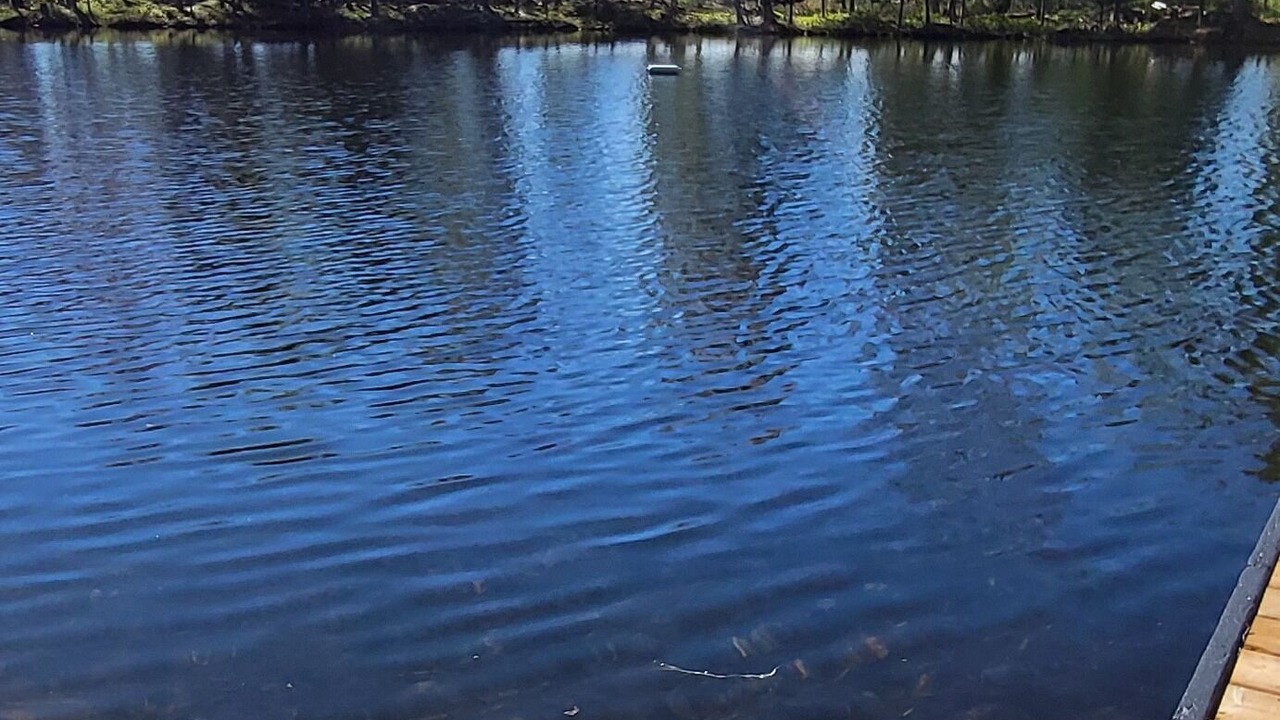 Photo of Outdoor in North Kawartha