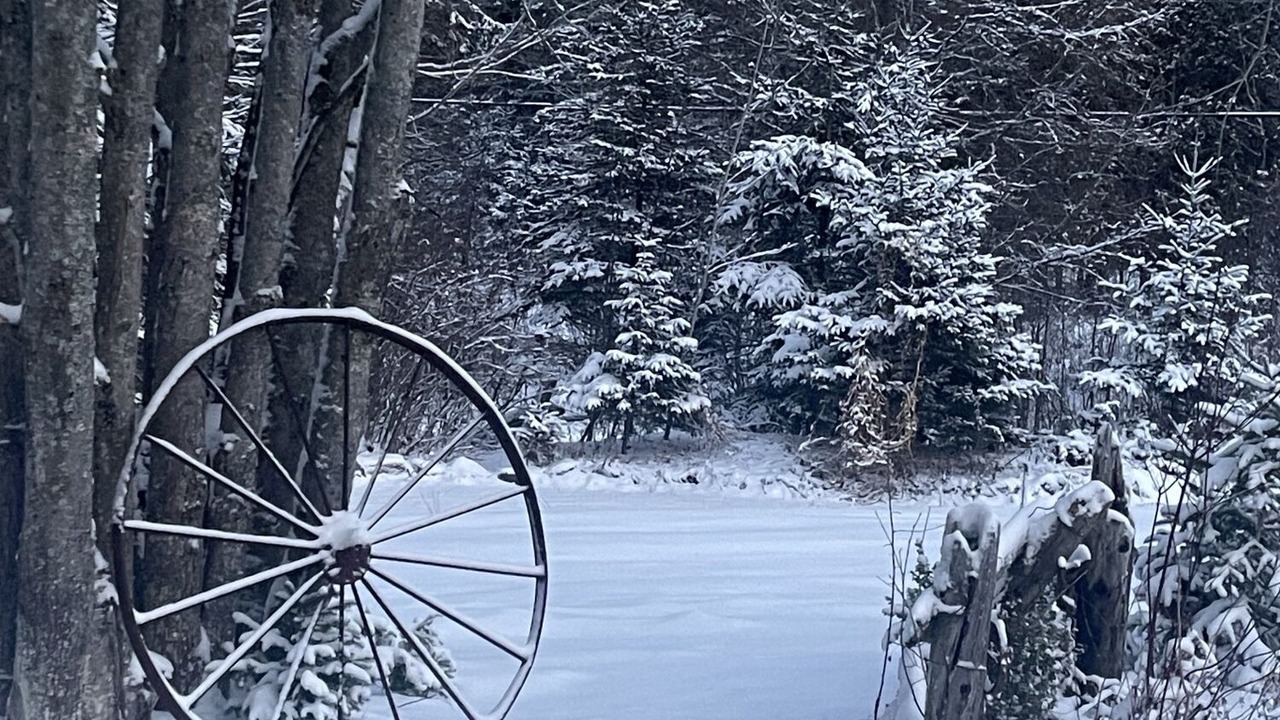 Photo of Outdoor in Hastings Highlands