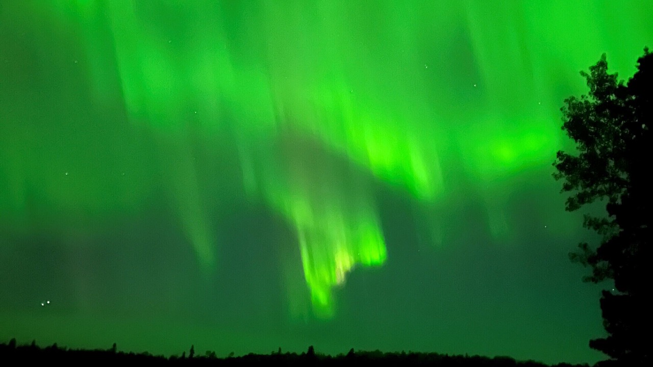 Photo of Others in Kenora
