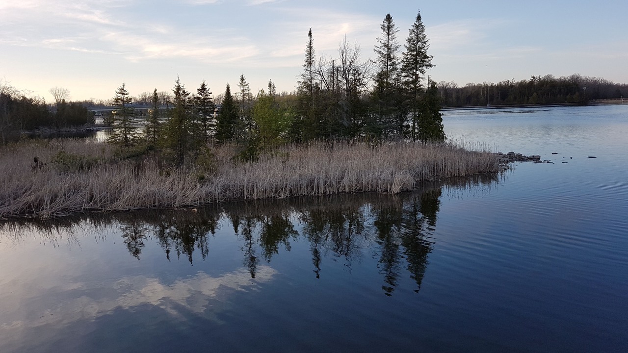 Photo of Others in Campbellford