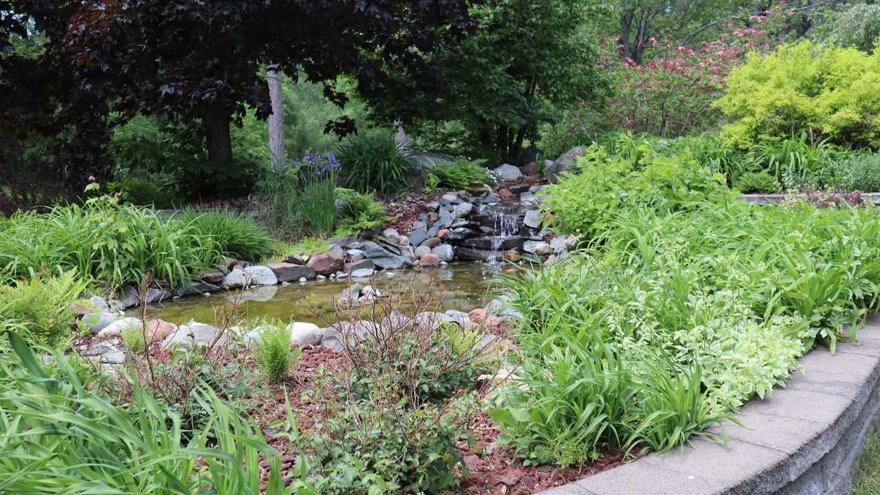 Photo of Outdoor in Carlton