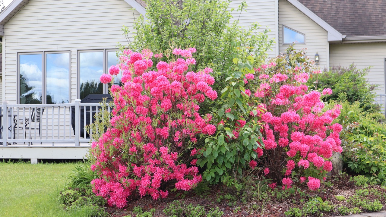 Photo of Outdoor in Carlton