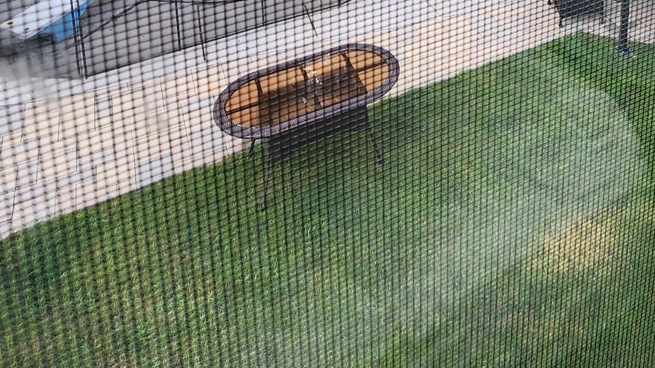 Photo of Outdoor in Richmond Hill