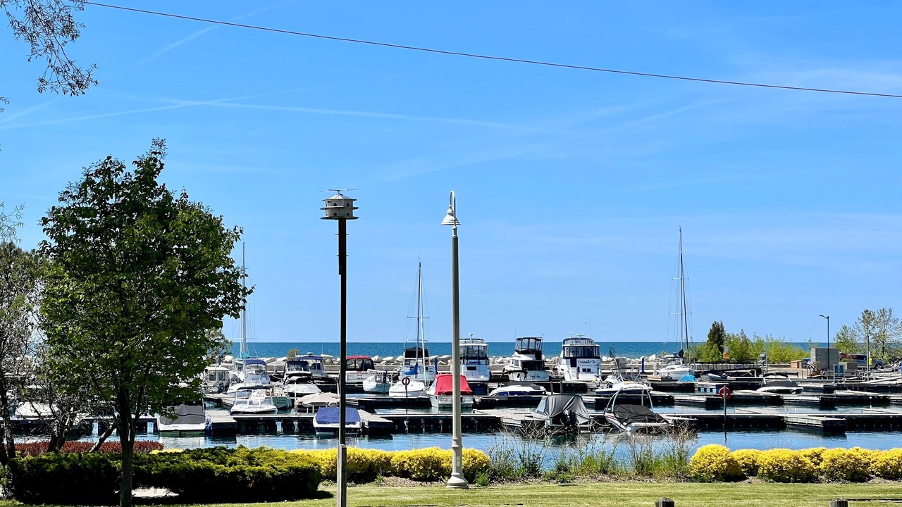 Photo of Others in Port Elgin