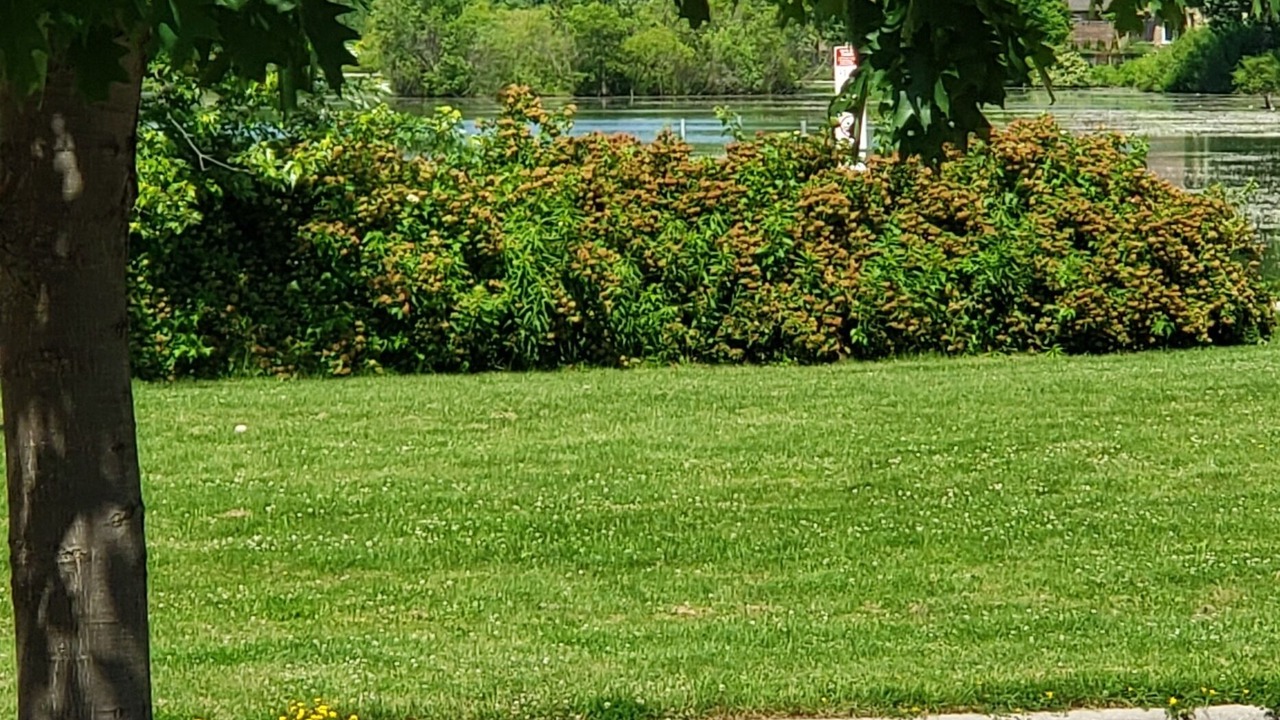Photo of Outdoor in Saint Thomas