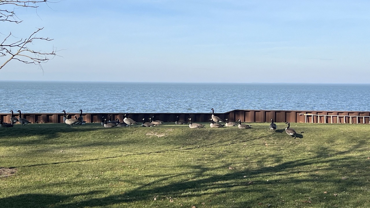Photo of Outdoor in Pointe aux Roches