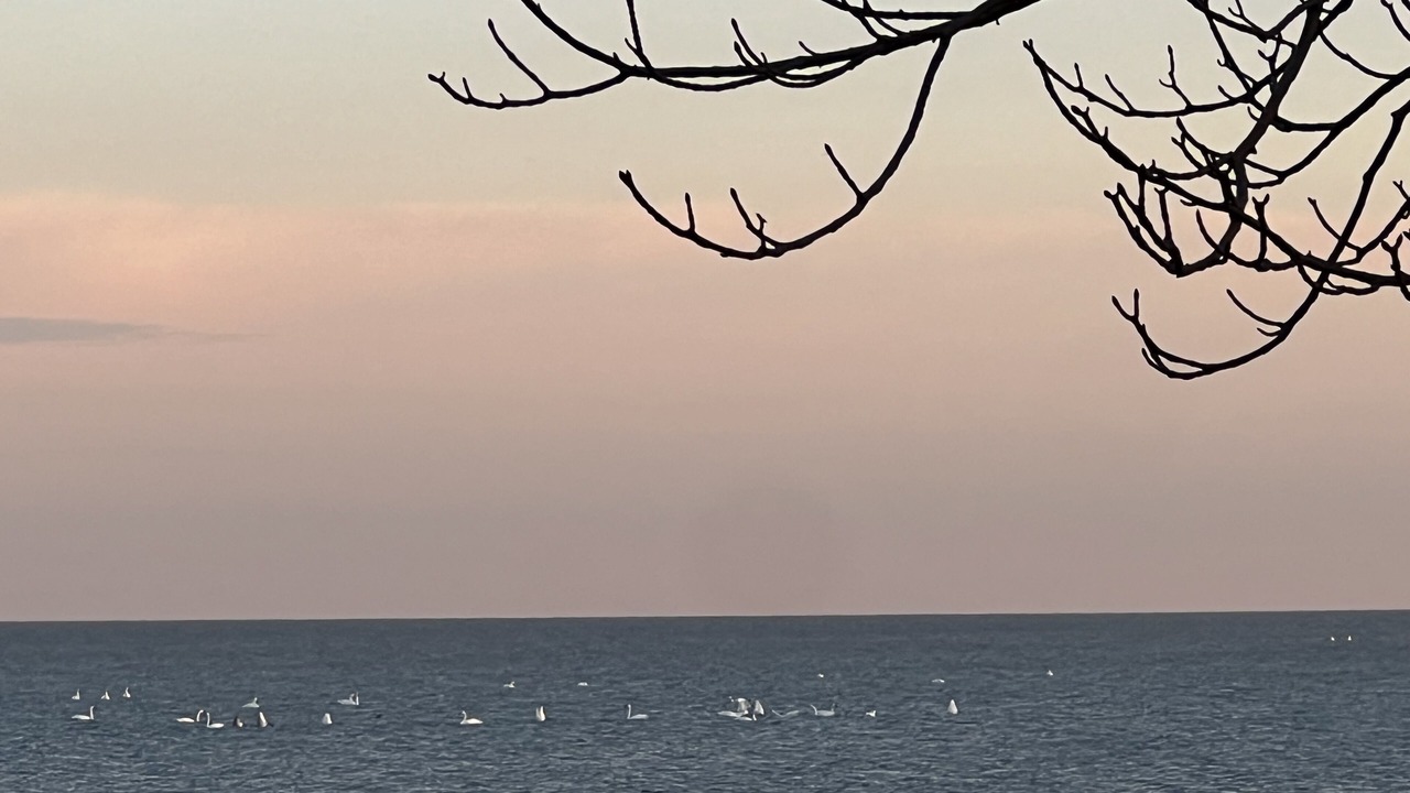Photo of Others in Pointe aux Roches