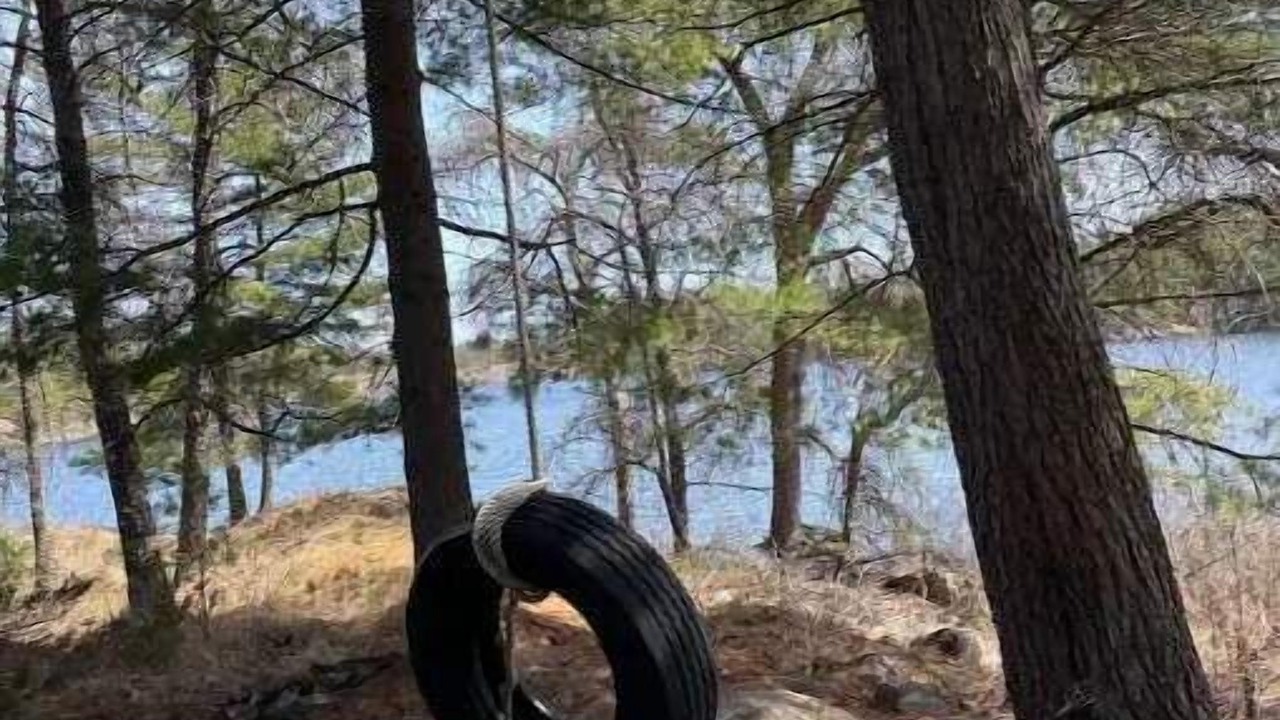 Photo of Others in Byng Inlet