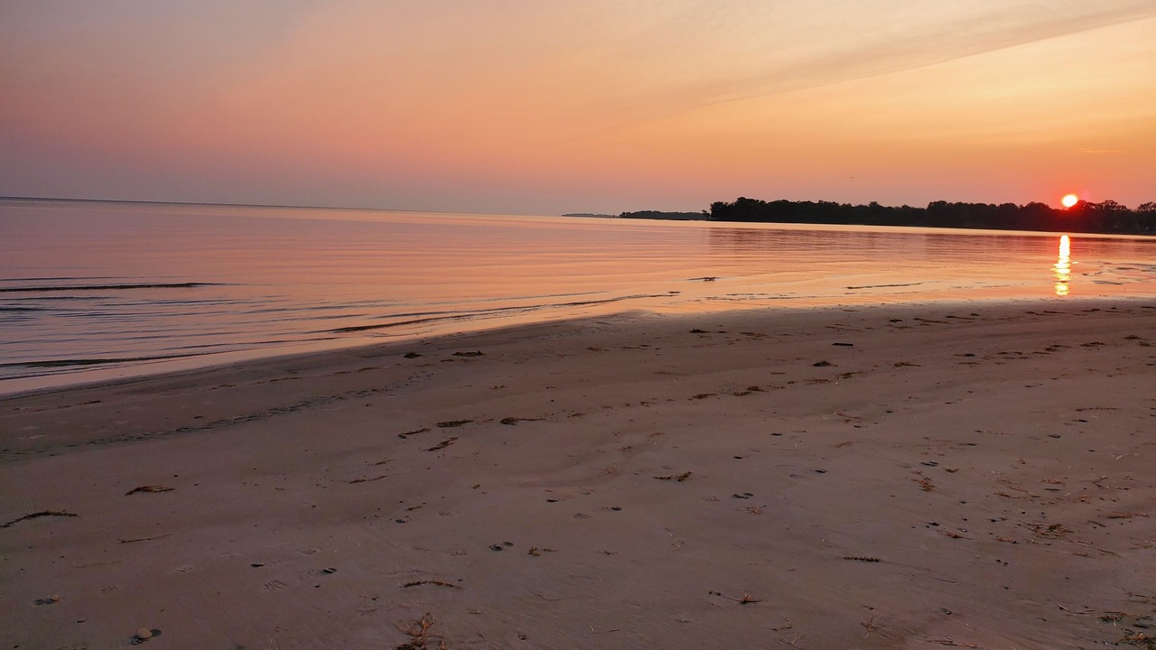 Photo of Others in Fort Erie
