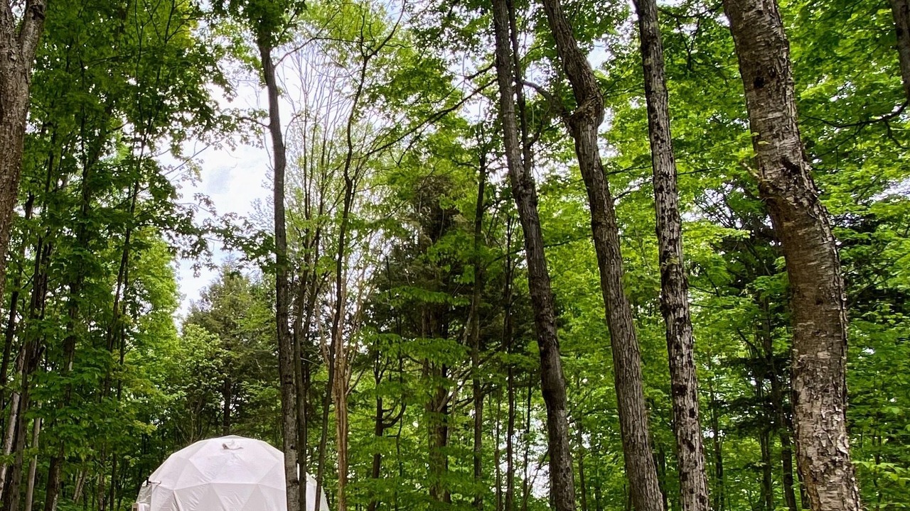 Photo of Outdoor in Weslemkoon