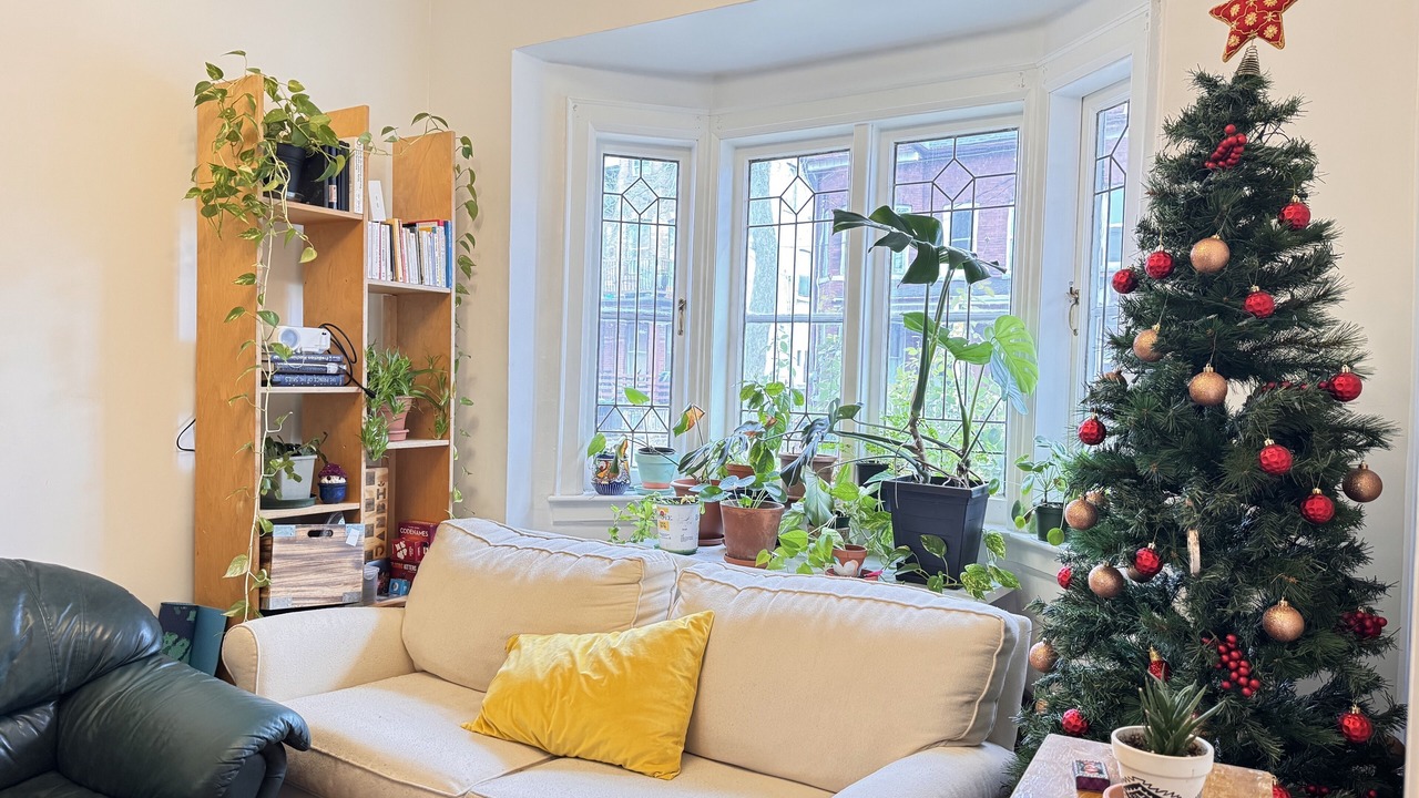 Photo of Livingroom in Trinity - Bellwoods