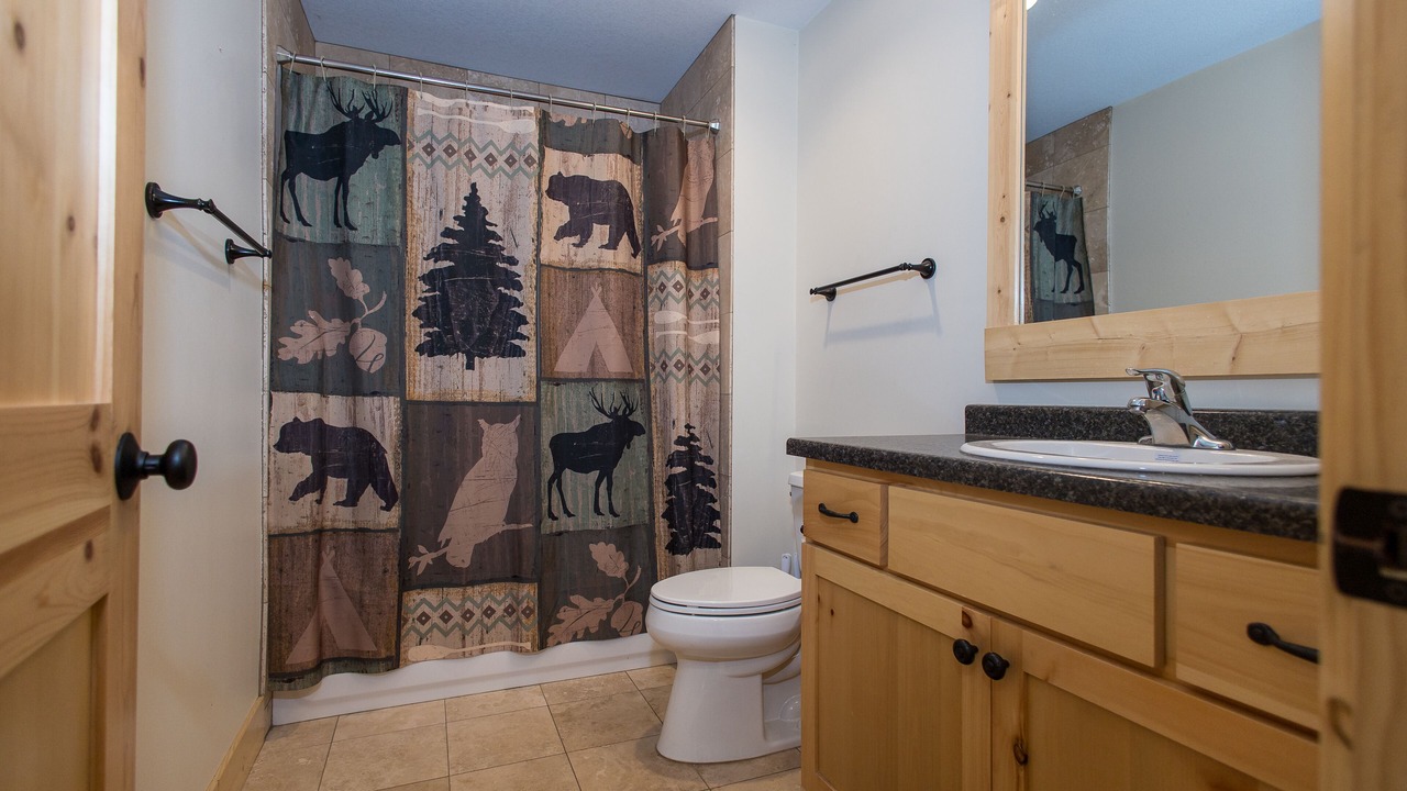 Photo of Bathroom in Remer