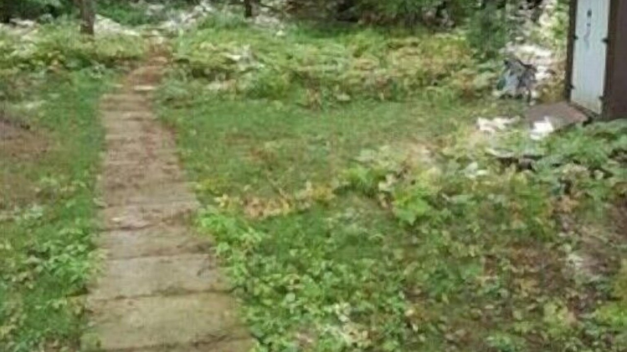Photo of Outdoor in Penetanguishene