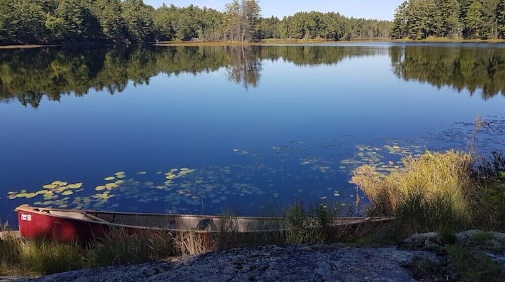 Photo of Others in Penetanguishene
