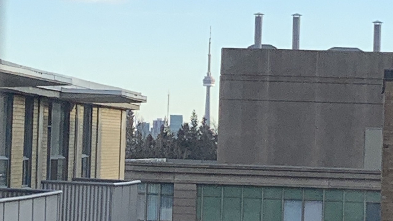 Photo of Outdoor in Forest Hill South