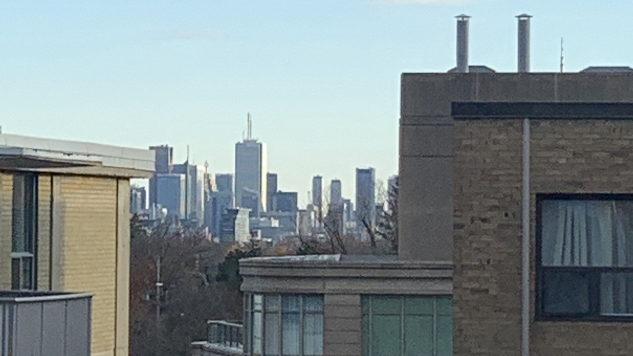 Photo of Outdoor in Forest Hill South