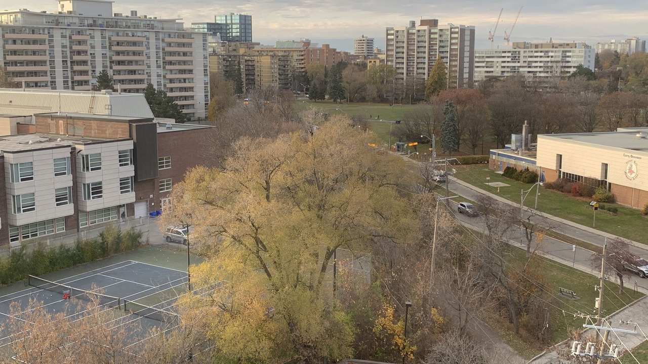 Photo of Others in Forest Hill South