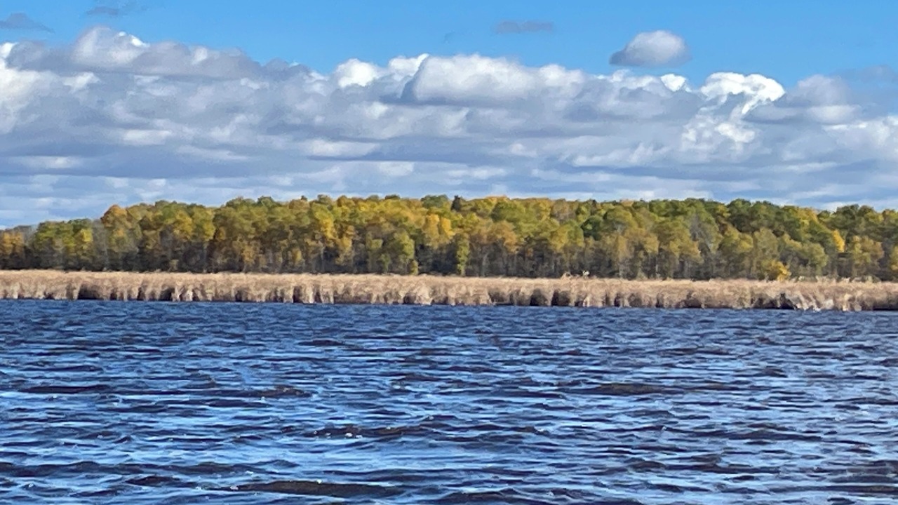 Photo of Others in International Falls