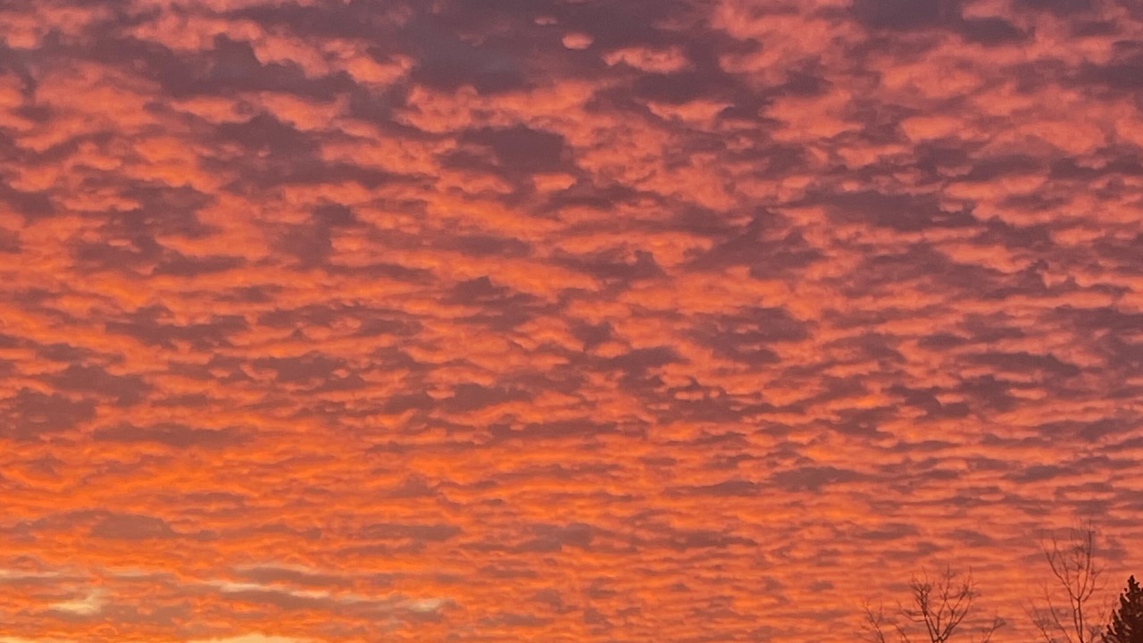 Photo of Outdoor in International Falls