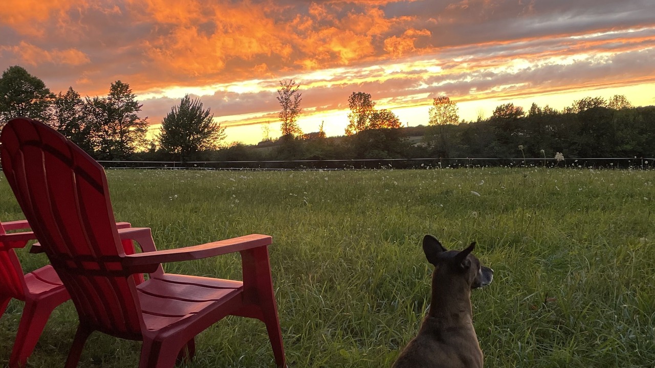 Photo of Outdoor in Meaford
