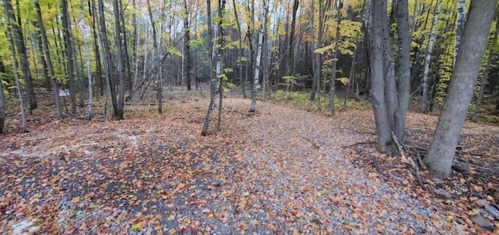 Photo of Outdoor in Madoc