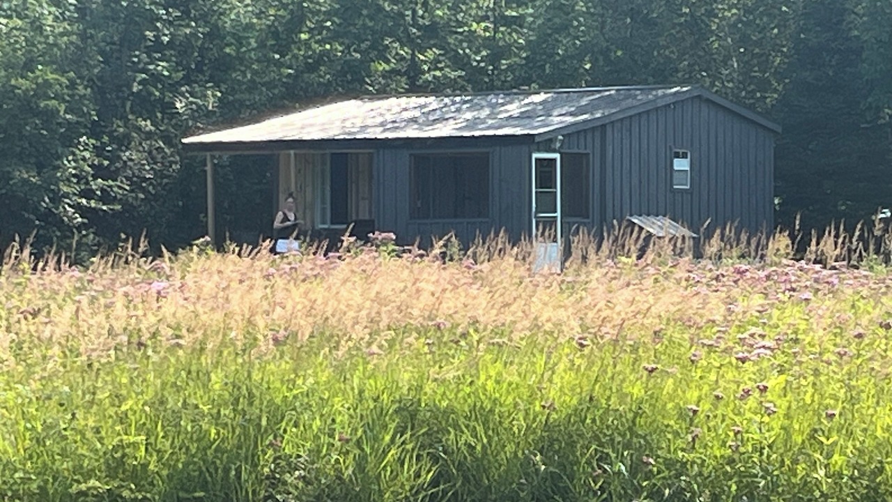 Photo of Outdoor in Whitney