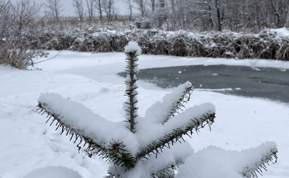 Photo of Outdoor in Osakis