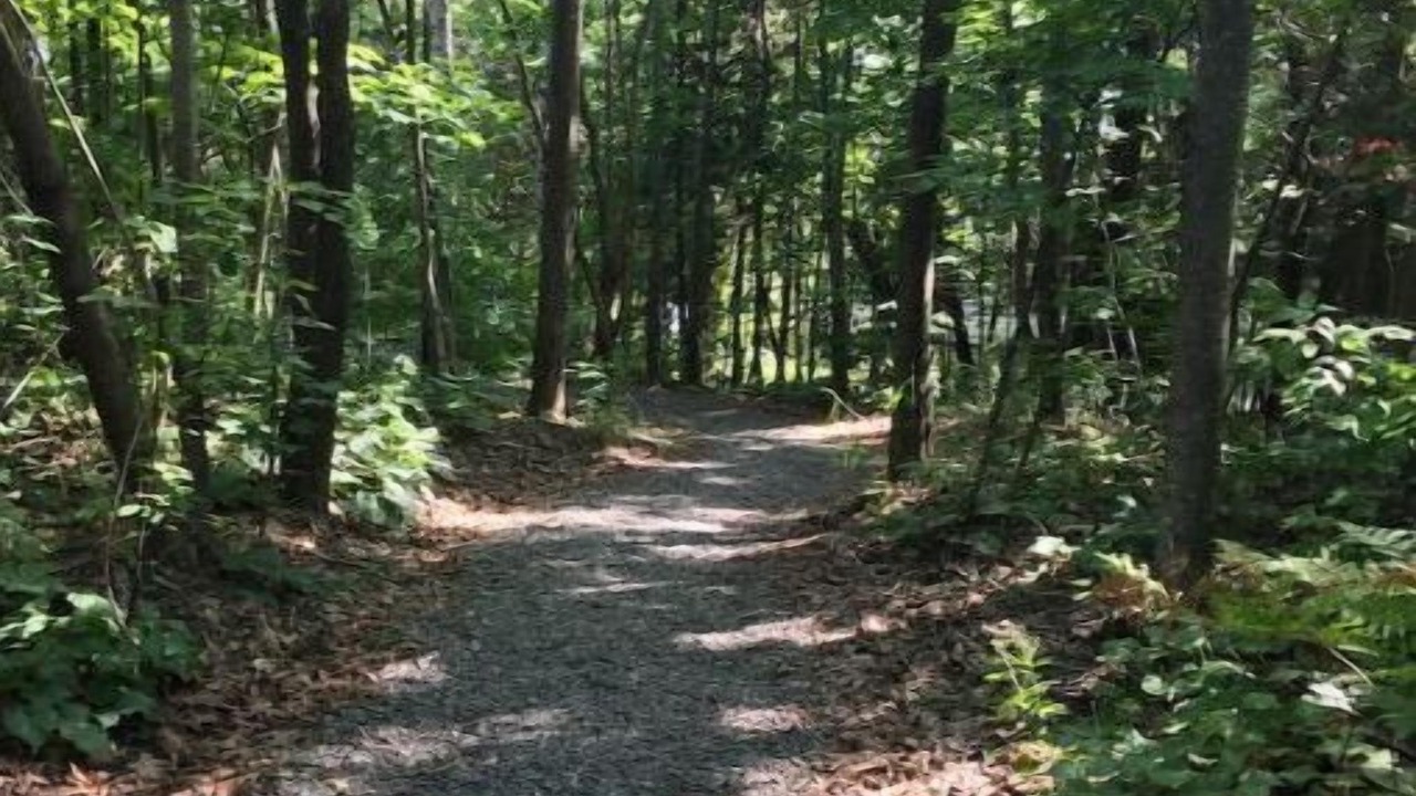 Photo of Outdoor in Huntsville