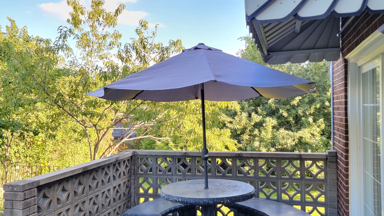 Photo of Outdoor in Maple Leaf