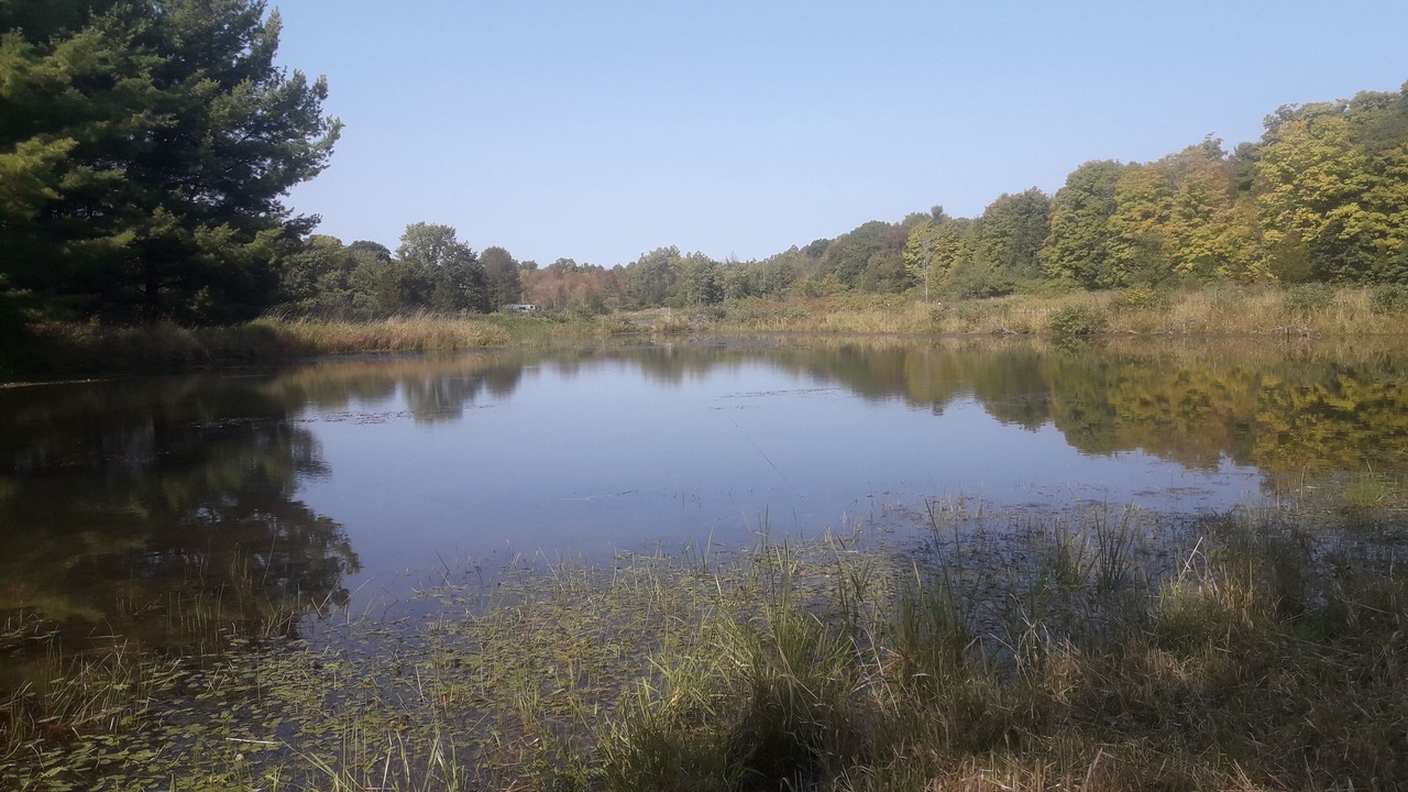Photo of Outdoor in Leeds and the Thousand Islands