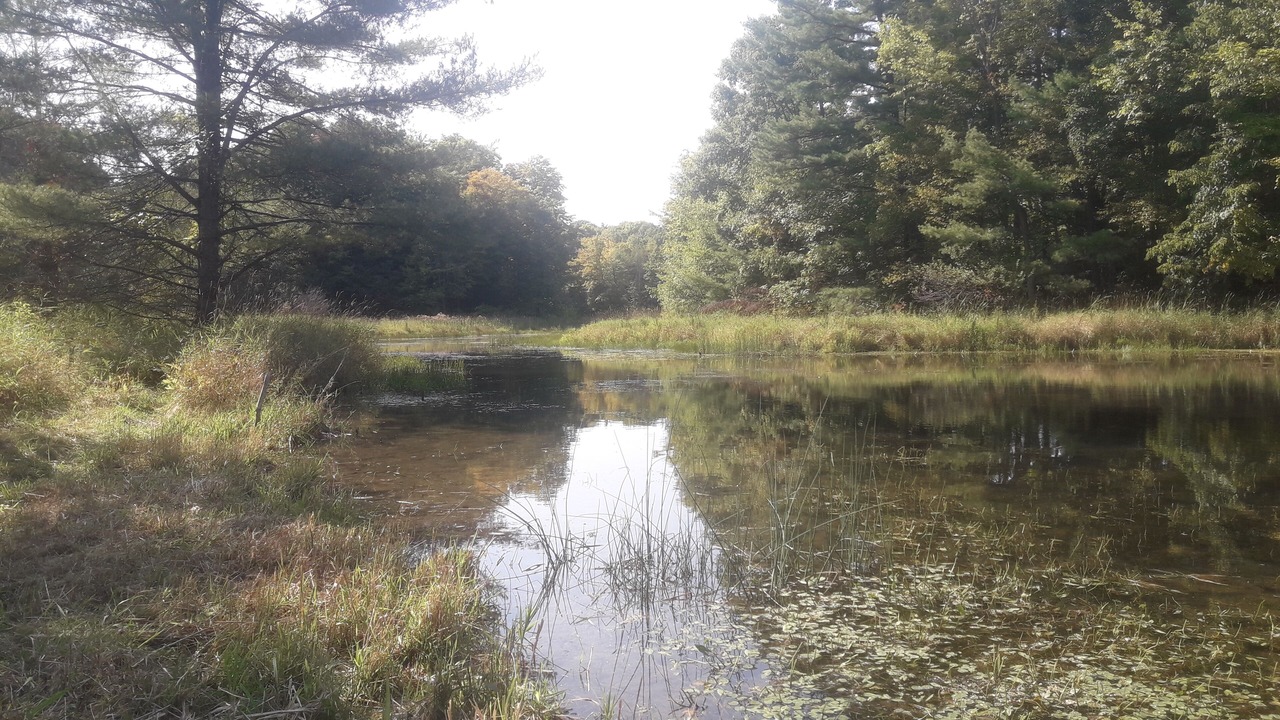Photo of Outdoor in Leeds and the Thousand Islands