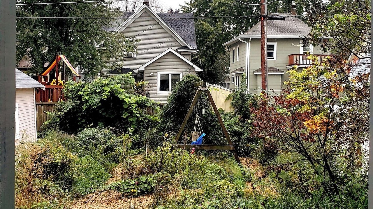 Photo of Outdoor in Midway