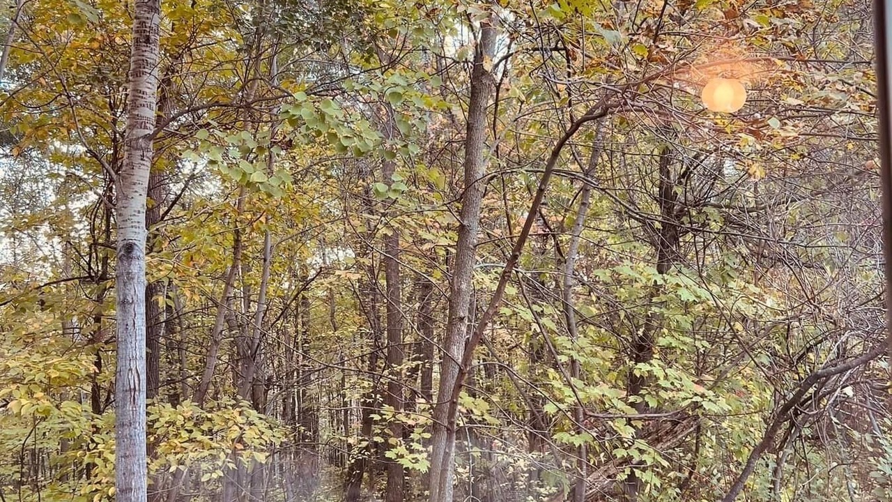 Photo of Others in Cushing