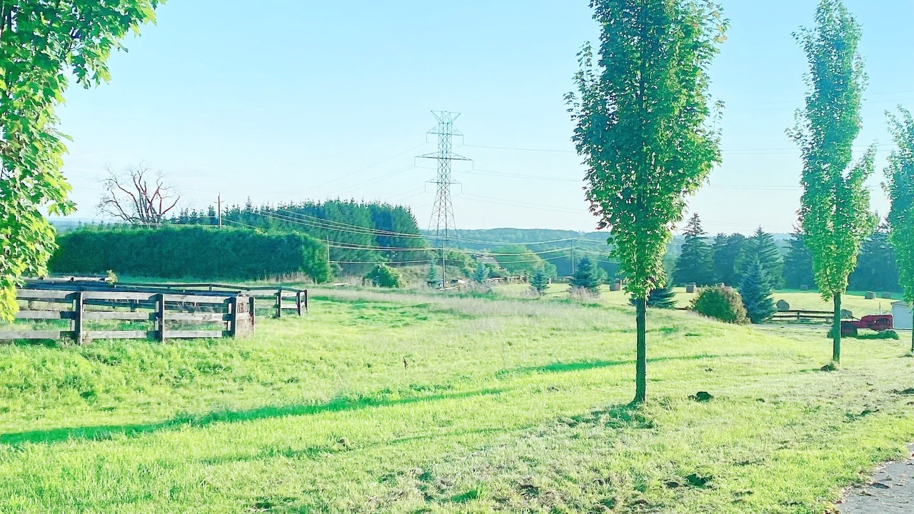 Photo of Outdoor in King