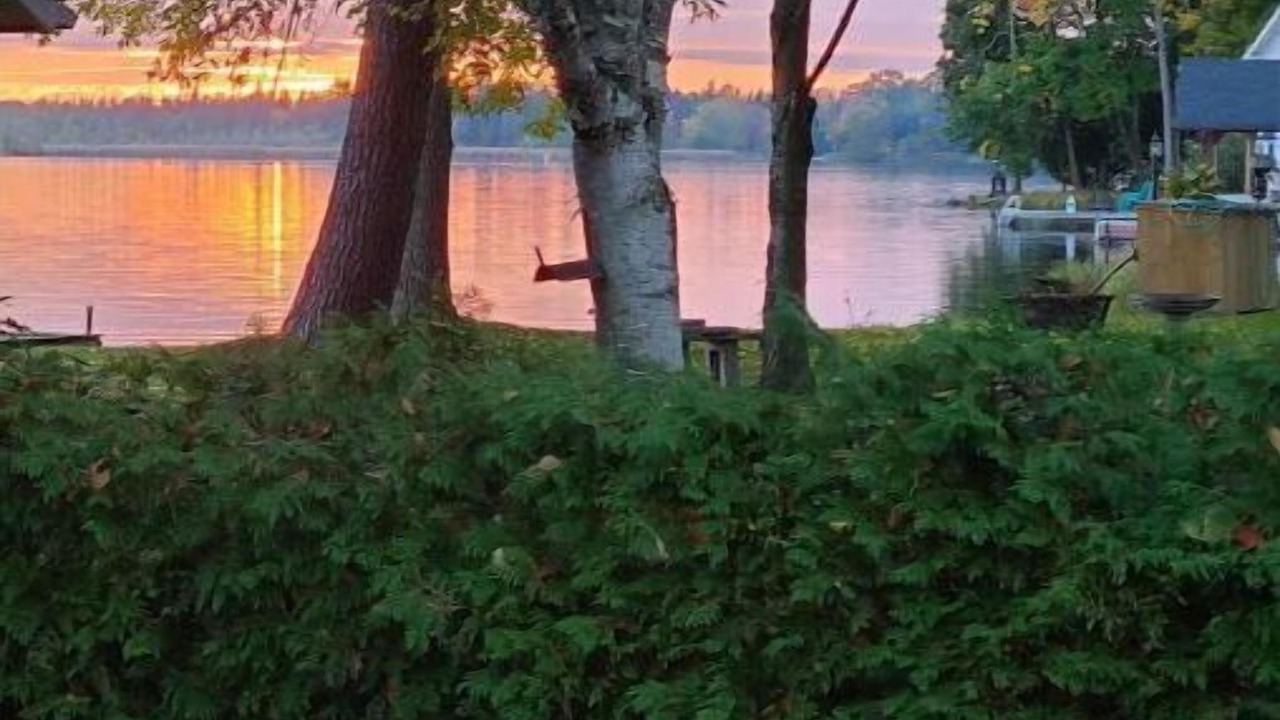 Photo of Outdoor in Bobcaygeon