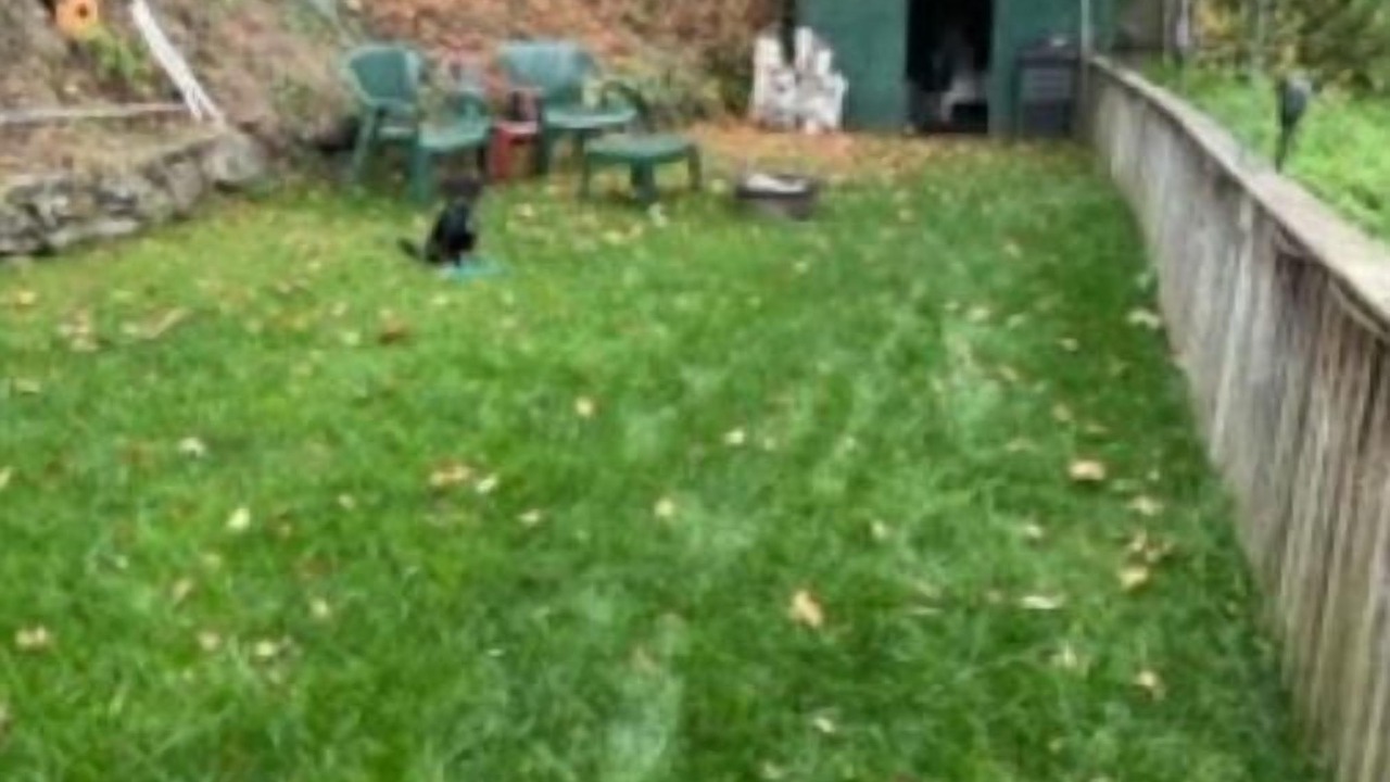 Photo of Outdoor in Greater Madawaska