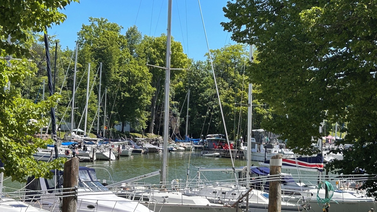 Photo of Others in Bayfield