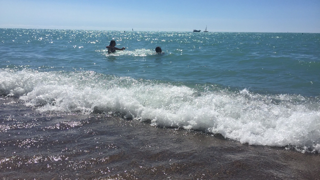 Photo of Others in Bayfield