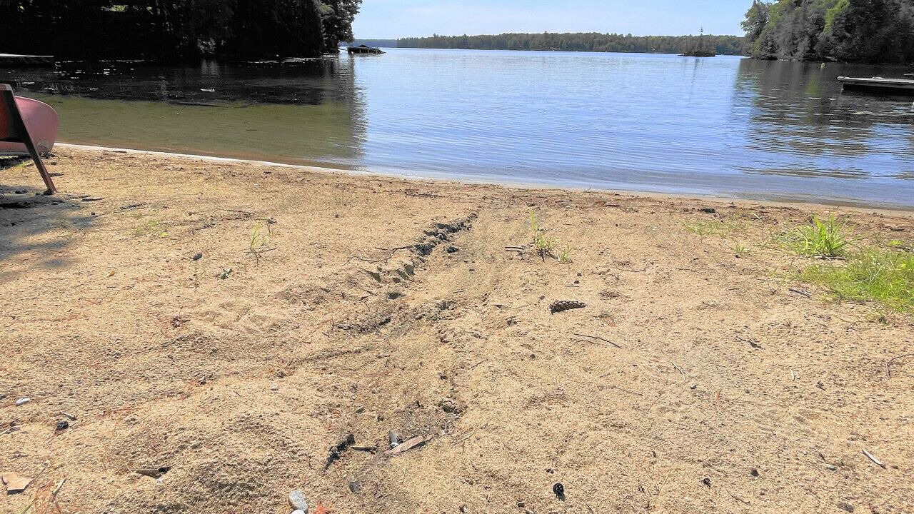 Photo of Others in North Kawartha