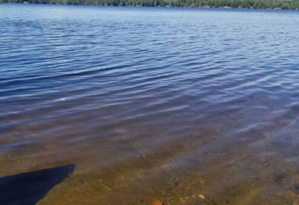 Photo of Others in Twin Bay