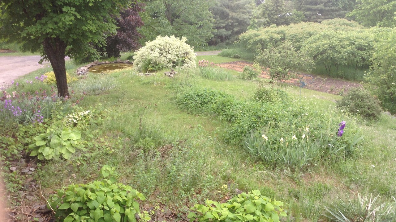 Photo of Outdoor in North Algona Wilberforce