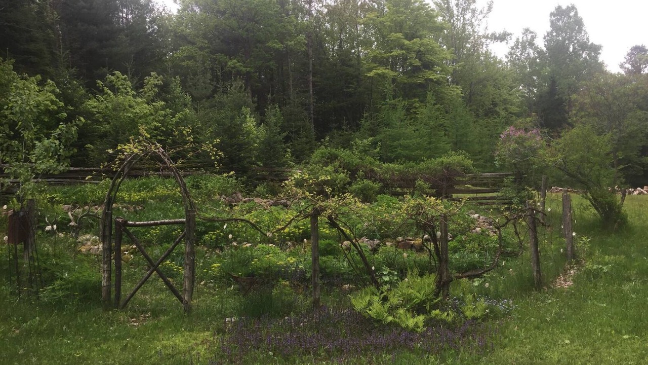 Photo of Outdoor in Novar