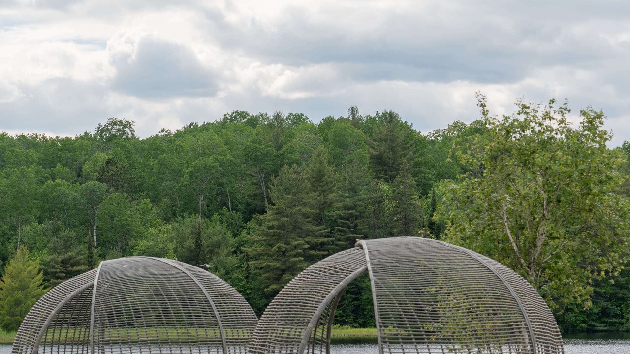 Photo of Others in South Algonquin