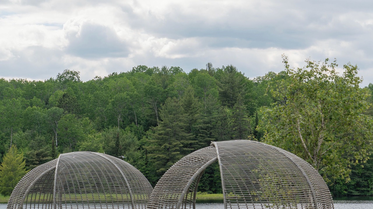 Photo of Others in South Algonquin