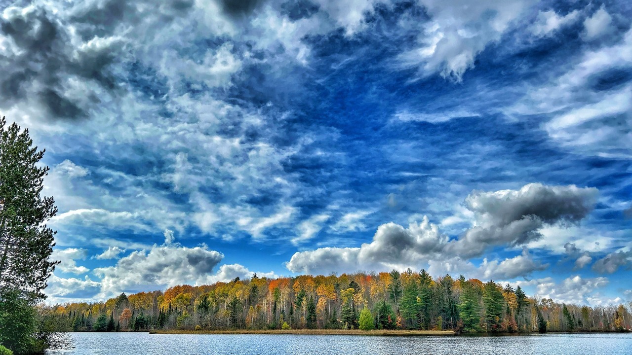 Photo of Others in South Algonquin