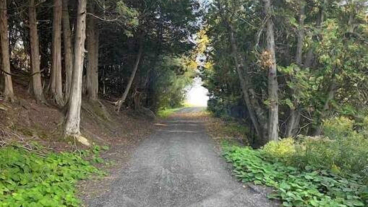 Photo of Outdoor in Durham Region