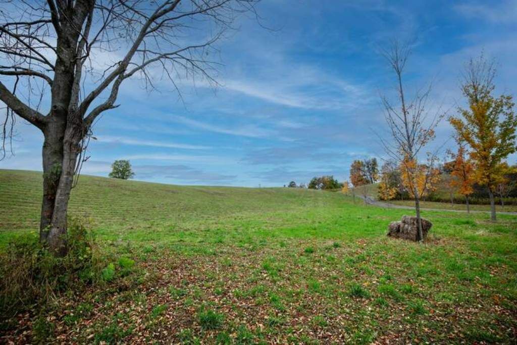 Photo of Outdoor in Durham Region