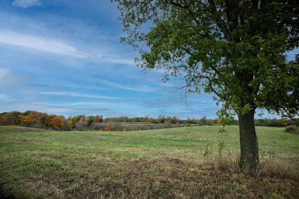 Photo of Others in Durham Region