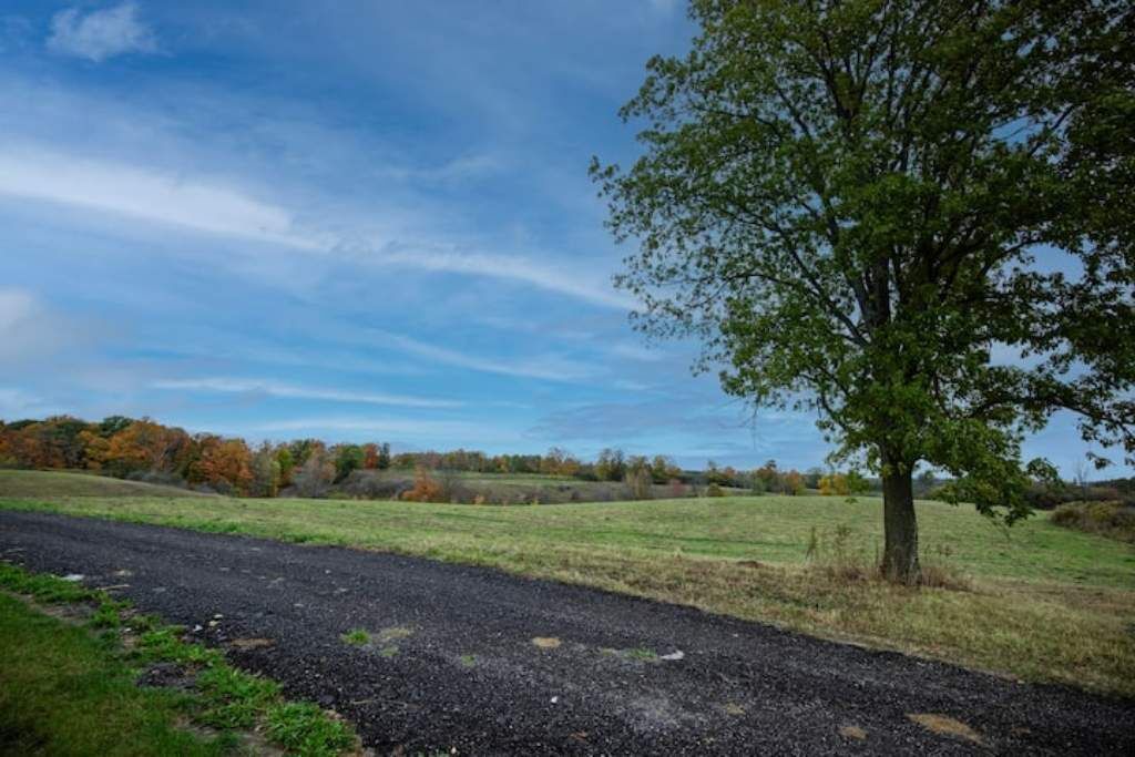 Photo of Outdoor in Durham Region