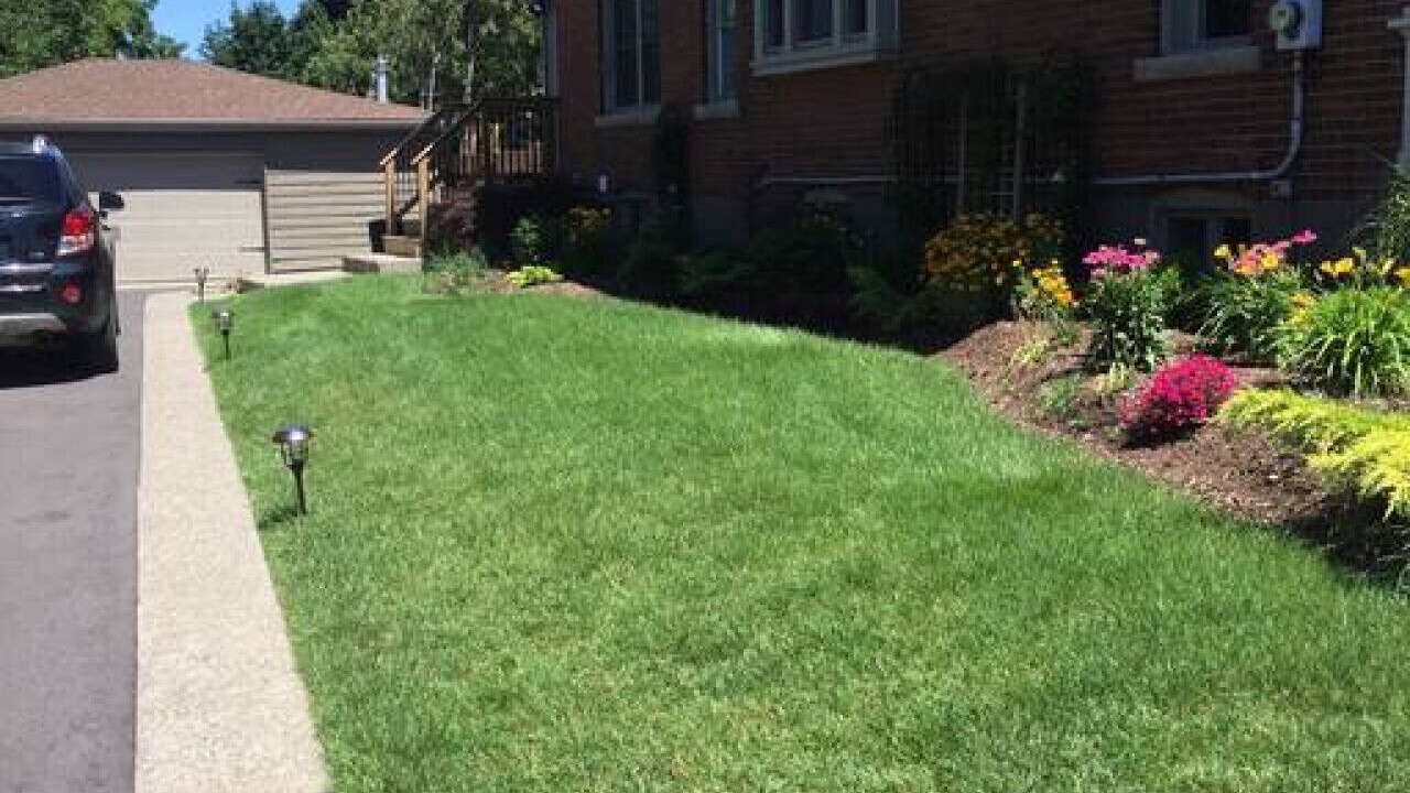 Photo of Outdoor in Port Weller West